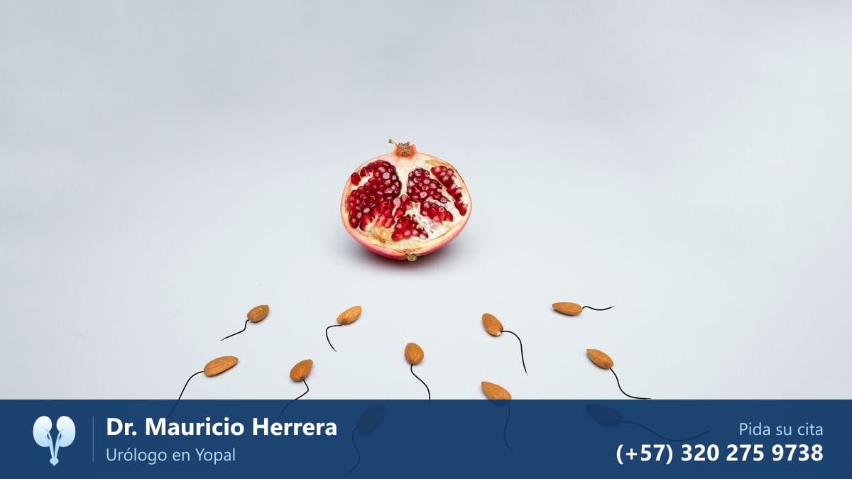 Una granada abierta y almendras con forma de espermatozoides que van hacia ella: la fertilidad. Dr. Mauricio Herrera, urólogo en Yopal